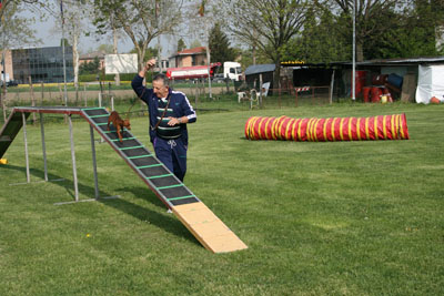 agility